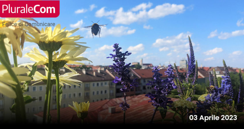 Mettete i fiori sui vostri tutti l'idea del Living Roof